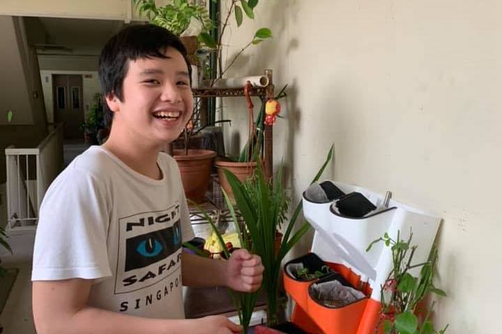 NakedGreens SG