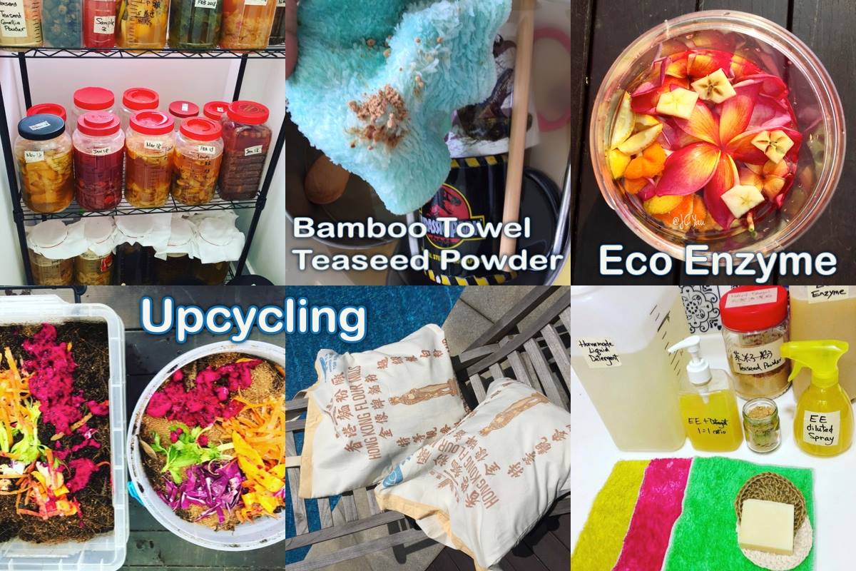 Upcycling. Sustainable. Eco Enzyme. Go Vegan